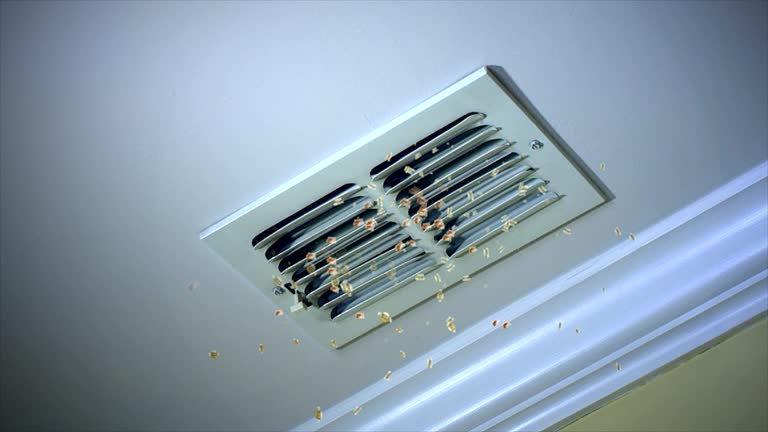 Best HVAC Duct Inspection Services  in Cleveland Heights, OH