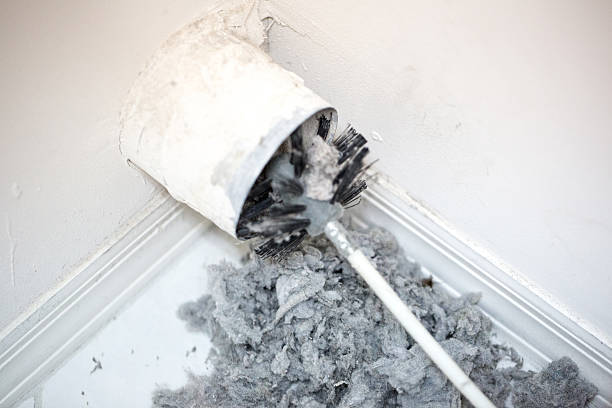 Best Local Air Duct Cleaning Services  in Cleveland Heights, OH